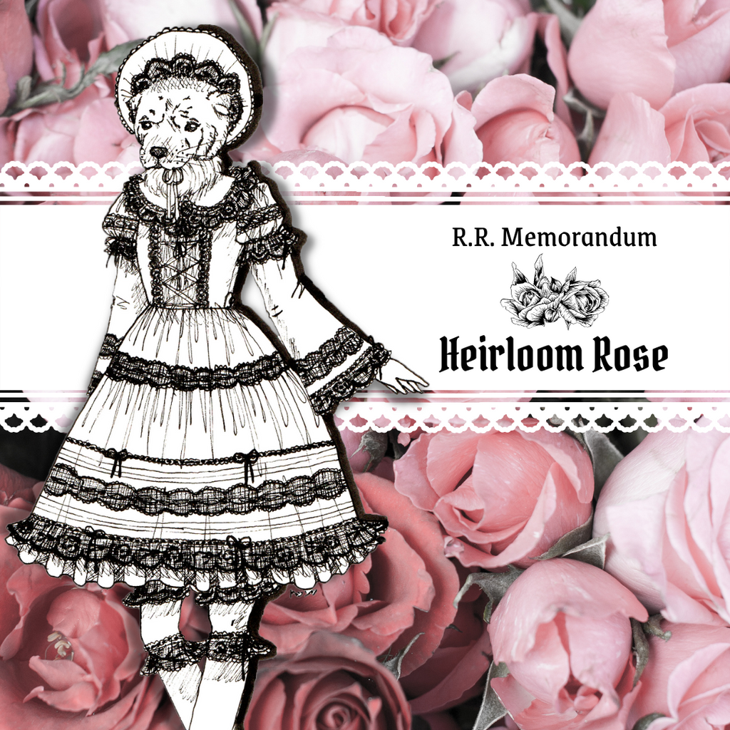 COLLECTION ANNOUNCEMENT PART TWO - HEIRLOOM ROSE